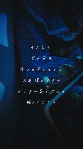 楓 / スピッツ #弾き語り #弾き語りカバー 🦕🪽