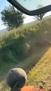 7.3K views · 18 reactions | "Okay Fellow Bikepackers, after watching this, I've made up my mind—I'll be asking farmers for permission to Bike camp on their land from now on! by the way, his Bikepacking setup was way cool . Anyone know who this guy is? Let’s find out!" Would love to hear his side of the aftermath Share | Bikepacking | Facebook