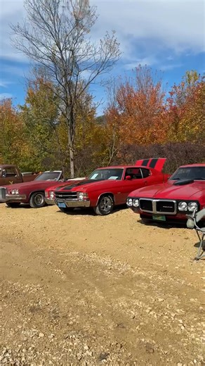 Laurie Marsh on Reels