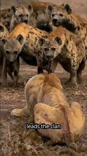 They Flip the Animal Hierarchy!