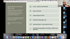 Understanding the Canine Brain