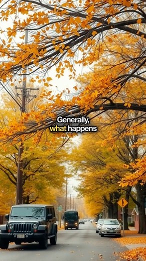 💧 Bill the Adjuster – Water Stains & Condensation: The Silent Home Damage A cold glass of water on a humid day collects moisture from the air—that same process happens in your home. Condensation forms on windows, HVAC systems, and even walls when warm, humid air meets cold surfaces. 💦 Persistent condensation can create water stains, damage drywall, rot wood, and even lead to mold. ⚠️ Long-term, ongoing issues are often excluded from insurance coverage if considered “maintenance-related.” 🛠 Pr