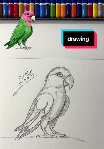 كيفية رسم البغبغاء بسهولة باستخدام أقلام الرصاص