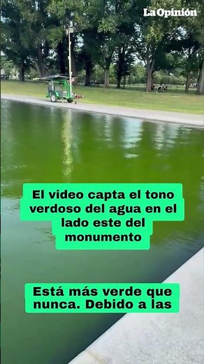Millonaria reparación no logra frenar la proliferación de algas en el Lincoln Memorial