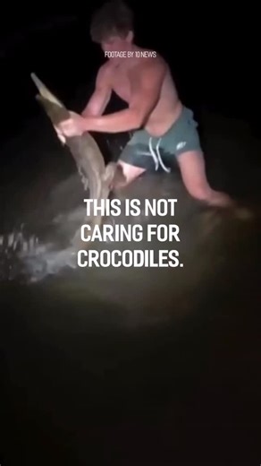 Defend the Wild on Instagram: "What we stand for is simple – let’s respect and defend Australia’s unique apex predators and their habitats together."