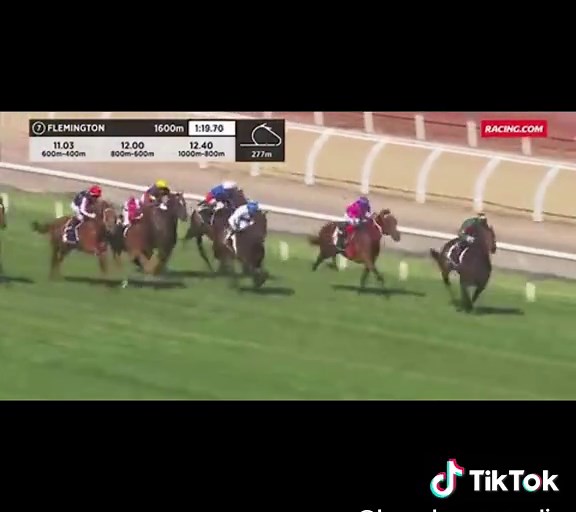 Alligator Blood Retires: A Champion Thoroughbred Career
