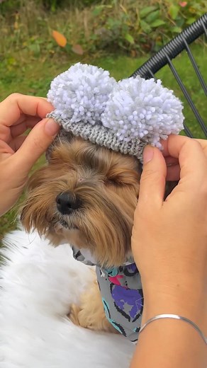 265K views · 2.9K reactions | https://www.happymaffi.at/product-page/haube-grau | Happymaffi | Facebook