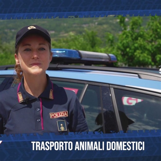 Trasporto animali domestici