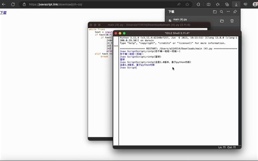 自制的Jvav Script从入门到精通，基于python（随便写的）下载链接在简介