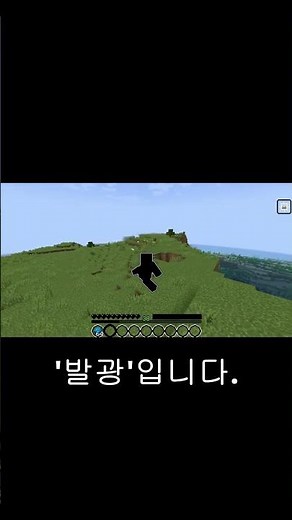마인크래프트의 최대 상태효과 발광편