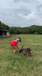 96K views · 1.3K reactions | #farmer #farm #agriculture #farming #farmlife #tractor #farmers #love #landwirtschaft #tractors #agriculturelife #agro #food #photography #countrylife #farmersmarket #farmerslife #jattlife #girls #love #shorts #Lovely #cuteanimals #cows #cowgirls | Bernice Willer | Facebook