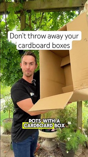 How to make plant pots out of a cardboard box #garden #gardening