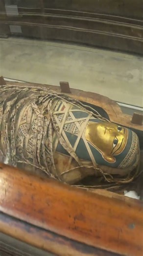 LOOK @ THESE REAL MUMMYS! #egypt #museum #mummy