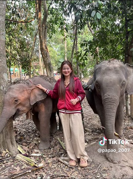 Xaiyabuly Elephant Sanctuary Visit