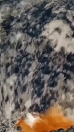 Content aware scale meme