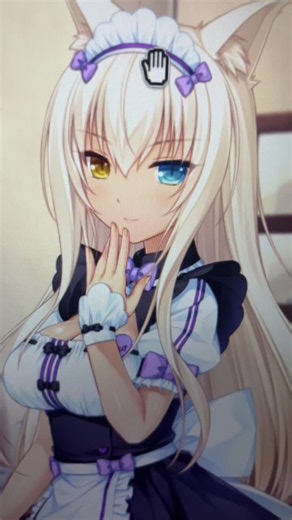 Coconut from Nekopara Best Cat Girl Character Spotlight