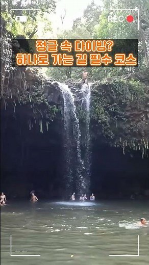 사람들은 잘 모르는 하와이 정글 속 비밀 수영장🤫 마우이 하나로 가는 길 필수 코스! 🚗 (feat. 트윈폴스 상류) #마우이여행 #하와이여행 #마우이 #하와이