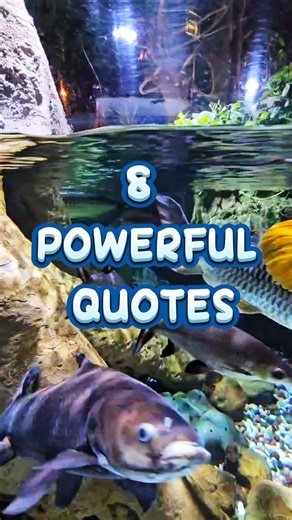 8 POWERFUL QUOTES #success #successmindset #successquotes | Dream To Success