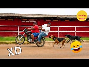 Funny Videos 🤣 If You Laugh You Lose God Level #832 😎 Mexican Viral Humor 🤣