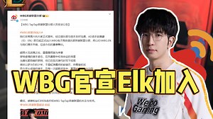WBG官宣Elk加入！