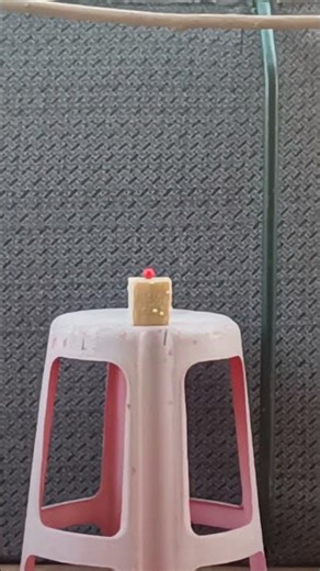 Dabwali shooting range