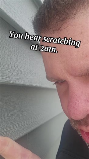 Reliable Rodent Repellent Spray for a Peaceful Night