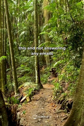 This is my formal invitation to close your laptop and join me on a nature walk 🚶🌳 | One Tree Planted