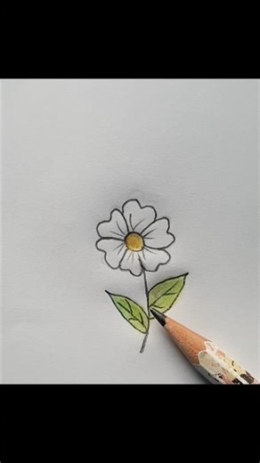 "Easy Daisy Flower Drawing for Beginners | Simple Flower Art"