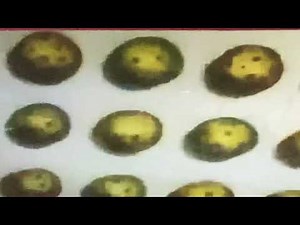 Sesame Street - Rap#15