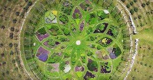 There's A Giant Lavender Labyrinth In Michigan And The Photos Are Breathtaking