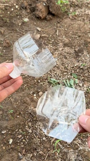 You Can Make This 3D Projector Right Now #tips #tools #diy