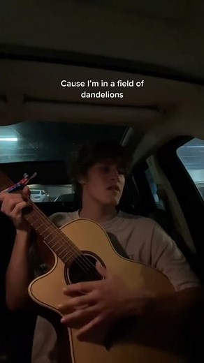 Dandelions - Ruth B #dandelions #ruthb