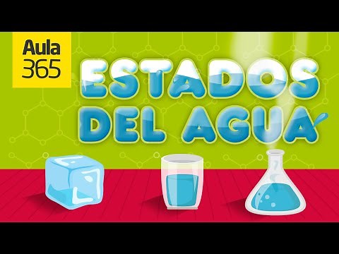 Los Estados del Agua | Videos Educativos Aula365