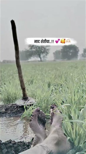 नाद शेतीचा..!! 💖 | #farmer #shortsfeed #trending #indianfarmer #new #kisan