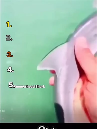 Ranking 5 Funniest Fish Video#ranking #mentality #memes #memesdaily #core #fypp #funny #fyp #funnyvideo #meme