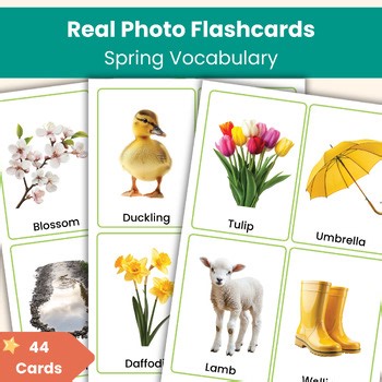 Spring Flashcards | Real Photo Vocabulary Cards