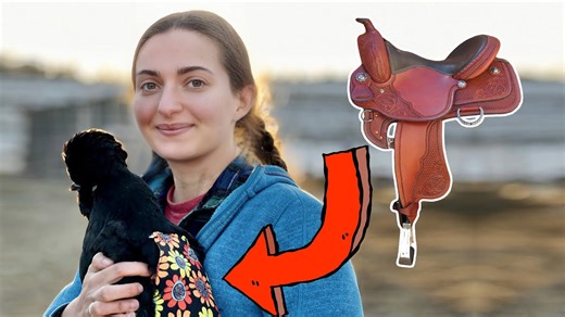 Practical and protective reasons for putting saddles on every chicken