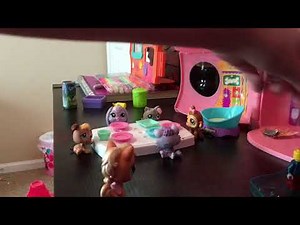 LPS-adoption center part 1