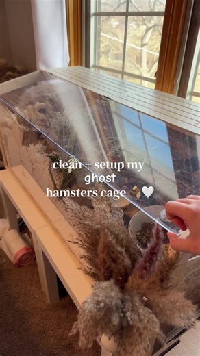 Hamster Cage Cleaning and Setup Guide