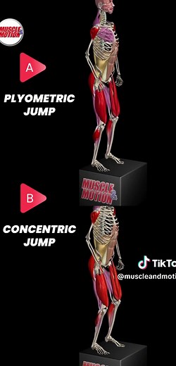 Mastering Jump Training: Understanding Concentric vs. Plyometric Jumps