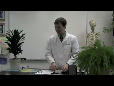 Dissection Tips, Tricks, and Techniques