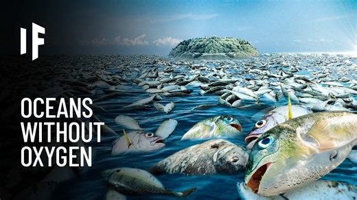 Oceans Losing Oxygen: What Would Survive?