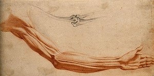 Eksentrisk trening for lateral epikondylit / tennisalbue (m/ video).