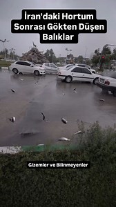 İran'daki Hortum Sonrası Gökten Düşen Balıklar 🔴 Haarp ve Bluebeam 2030'a yaklaştıkça absürt bir Dünya'da yaşayacağımıza emin olabilirsiniz. Farkettiyseniz Dünya'da bir gerginlik var. Bu yeni Dünya'nın doğum sancısı. Çok büyük bir Pandemi veya savaş bu gerginliği azaltacak. Yada sahte uzaylı istilası. Bluebeam İle İnsanların Algısını Kontrol Etmeye Devam @gizemlervebilinmeyenler @gizemlervebilinmeyenler2 YOUTUBE KANALIMIZA ABONE OLMAYI UNUTMAYIN Kanal Adı: "Gizemler ve Bilinmeyenler" #gizemlerv