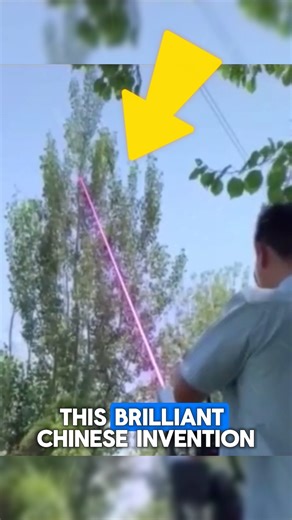 The Ultimate Method to Cut Trees Advanced tree-cutting technology makes forestry safer, faster, and more efficient than ever before. With precision tools and powerful machinery, professionals can handle even the toughest jobs with ease while reducing risks. A true innovation in modern landscaping. Credit : @SPTLaser, @redcoastlaser, @DALITechnologyCoLtd, kucinggunung69 /yt, tt #SmartTechnology #ForestryEquipment #SafetyFirst #laser #technology | Bee Force