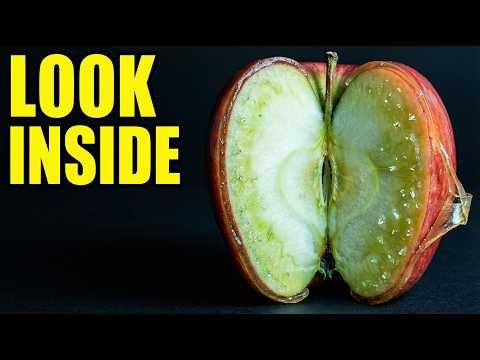 American Apples Are Coated in Crushed Bug Shells. And That's the Safe Ingredient