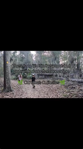 🌲 The Best Kind of Connection 🌲 They say there’s no Wi-Fi in the forest, but I’ve never felt more "plugged in" than I do I'm with my kids on a trail. 🌿 Watching my kids weave through the trees, listen to the crunch of leaves under their boots, and discover the tiny wonders of the trail is a massive reality check. In a world that’s constantly asking for our attention through pings instead of our devices. ✨ #NatureHeals #Unplugged #ForestWalks #ChildhoodUnplugged #FamilyTime #WildAndFree #deepc