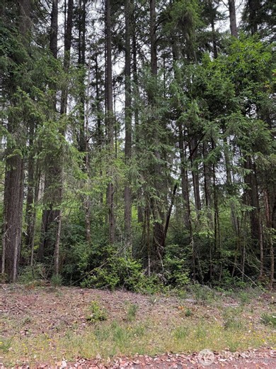 12216 Wapato Road, Anderson Island, WA 98303 | MLS # 2503022 Lake Josephine Riviera Lake Josephine