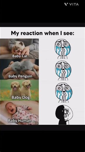 Daily Dose of Memes #day 592 #funny #memes #viralvideo #viralshorts #shorts