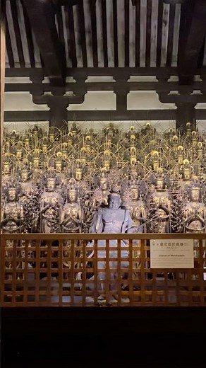 圧巻‼️1001体の千手観音像🙏🙏✨✨ #三十三間堂 #千手観音 #夜間特別拝観 #京都 #お寺 #夜間拝観 #観音様